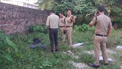 There was a stir after a dead body was found in an empty plot, police expressed this apprehension