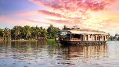 IRCTC's 'Cultural Kerala Tour Package': Enjoy the beautiful sights of Kerala in 6 days