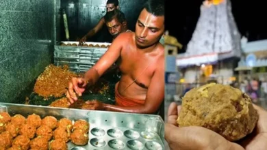 We did not supply ghee to Tirupati,' Amul's statement on laddu controversy, rumour spread on social media
