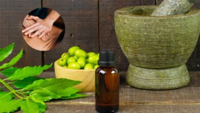 On the birth anniversary of Lord Dhanvantari, initiatives to improve global health through Ayurveda innovations
