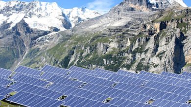 CM Solar Self Employment Scheme stops migration and encourages self-employment