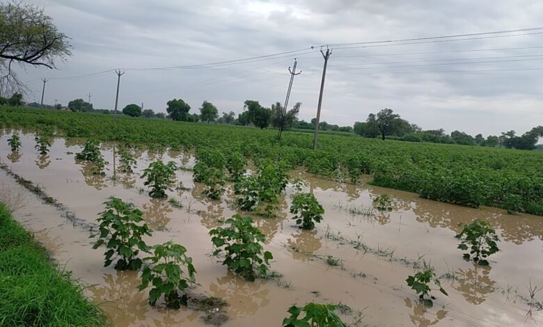Crisis deepens on farming in Uttarakhand: 2 lakh hectares of agricultural land lost