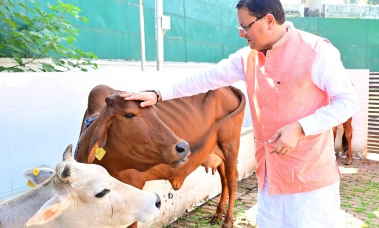 Chief Minister Pushkar Singh Dhami performed havan, worshiped girls and cows on Navratri Mahanavami, wished for the prosperity of the state