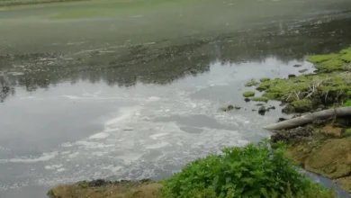 Strictness on Ganga pollution: Officer responsible, salary will be stopped if dirt is found