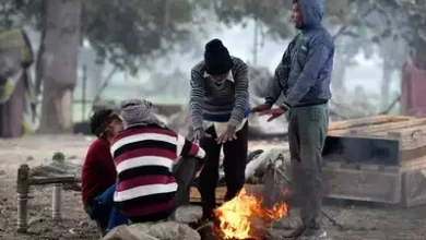 Last day of the year 2024: Severe cold and fog wreak havoc