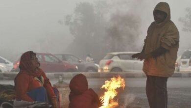 Cold wave wreaks havoc in Uttarakhand: Dry cold and fog increase problems