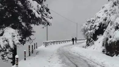 First snowfall of the season in Mussoorie, tourists' faces lit up