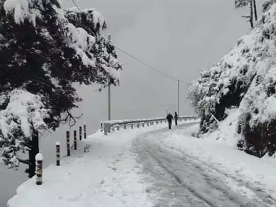 First snowfall of the season in Mussoorie, tourists' faces lit up