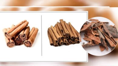 Cinnamon: A precious treasure of taste and health
