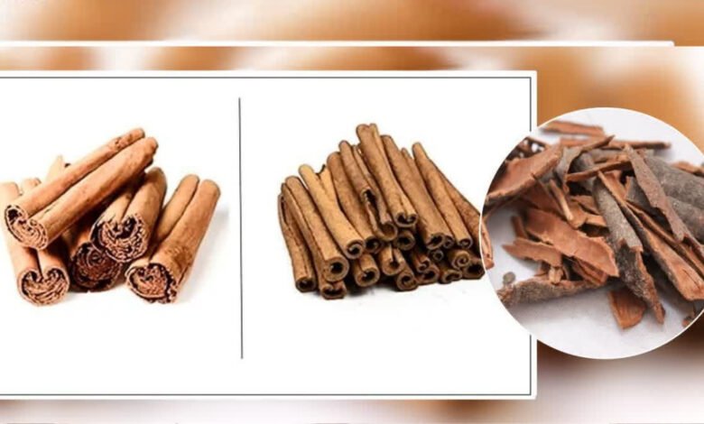 Cinnamon: A precious treasure of taste and health