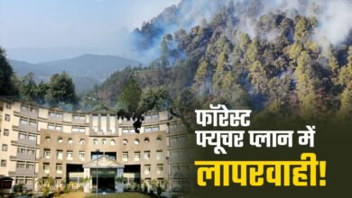 Threat to Uttarakhand's forests: Working plan in limbo due to Forest Department's negligence
