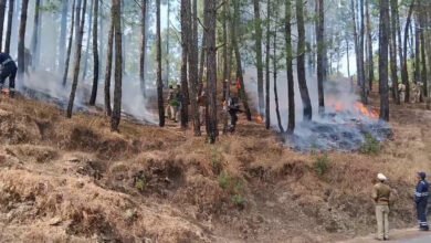 Mock drill organized in Uttarakhand before forest fire season
