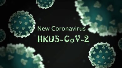 HKU5-CoV-2: New bat coronavirus found in China, could it be the cause of the next pandemic?