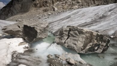 Uttarakhand: 57 workers buried due to glacier breaking in Mana, rescue operation continues