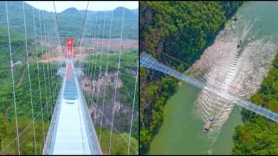 Construction work of Bajrang Setu in Rishikesh is 75% complete, expected to open by April