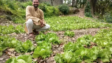 Leaving the glitz of corporate life and taking up farming, Dehradun's youth are creating a new identity