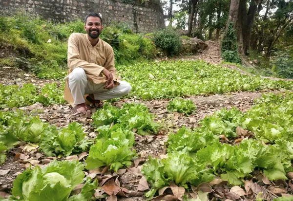 Leaving the glitz of corporate life and taking up farming, Dehradun's youth are creating a new identity