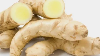 Kachur, a rare medicine in Ayurveda: Effective on cancer and skin diseases