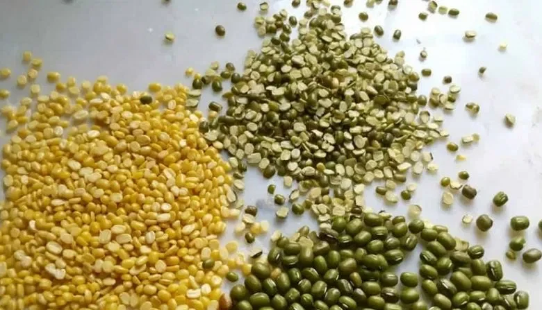 These pulses will keep diabetes under control, health will get full nutrition
