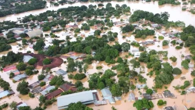 Flood havoc in Argentina: 16 dead in Bahia Blanca, many missing