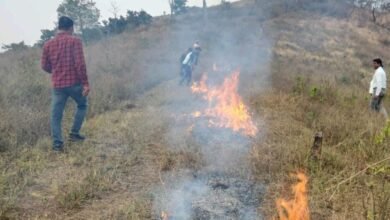 Odisha deploys AI cameras to prevent forest fires
