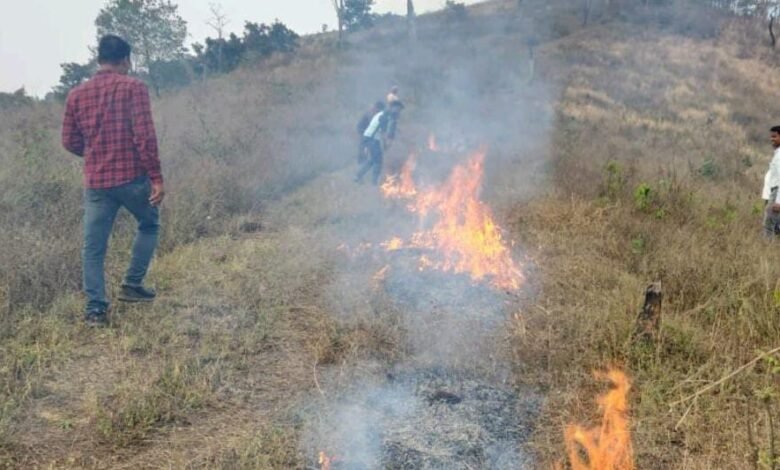 Odisha deploys AI cameras to prevent forest fires