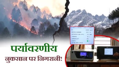 A detailed record of environmental damage caused by forest fire will be made in Uttarakhand