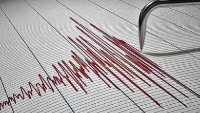 "There is a possibility of a massive earthquake in the Himalayan region, cities like Delhi and Guwahati may be in great danger"