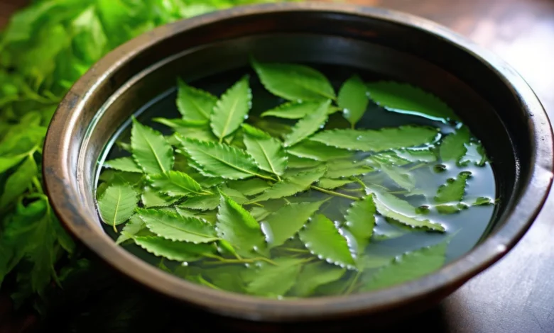 Neem water: Ayurvedic remedy to get relief from skin diseases, know how to use it