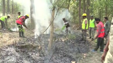 Wildlife in danger due to forest fire in Uttarakhand, protected areas also in danger