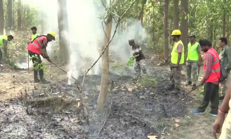 Wildlife in danger due to forest fire in Uttarakhand, protected areas also in danger