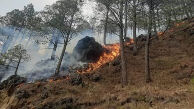This time the forest fire is under control, relief due to the strategy of the forest department and the kindness of the weather