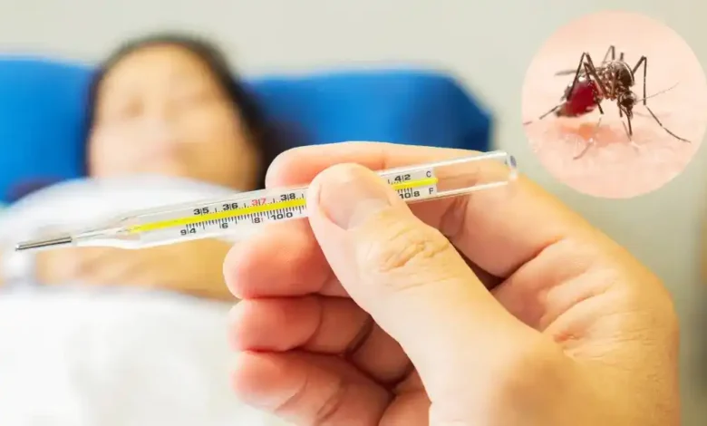Threat of dengue increased in Dehradun: Coconut shells become den of larvae, health department on alert