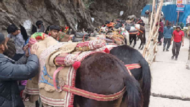 Death of horses in Kedarnath Yatra causes panic, temporary ban due to threat of virus