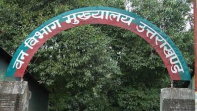 Allegations of plantation scam in Uttarakhand forest department, plant worth Rs 10 bought for Rs 100