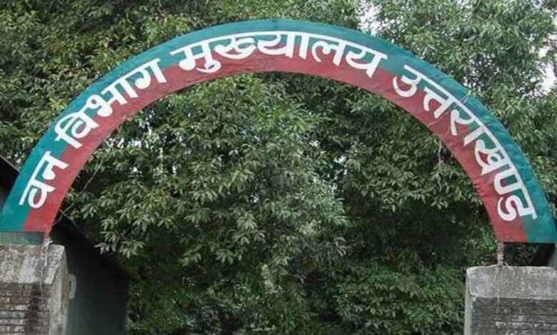 Allegations of plantation scam in Uttarakhand forest department, plant worth Rs 10 bought for Rs 100
