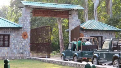 Rajaji Tiger Reserve closed for tourists, this time tourism earned record revenue
