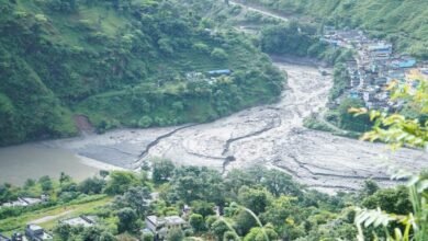 Nature's fury in Uttarakhand: Heavy rains wreak havoc in Teejam of Pithoragarh, people narrowly escape from falling tree in Mussoorie