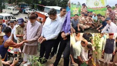 Harela festival celebrated in Uttarakhand, extensive tree plantation done with the message of greenery