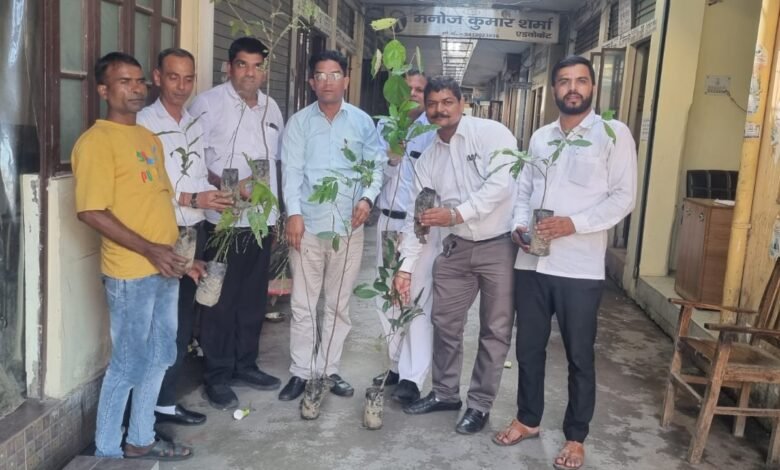 'Plant a tree campaign' started in Roorkee, Advocate Rao Billawar handed over fruit plants