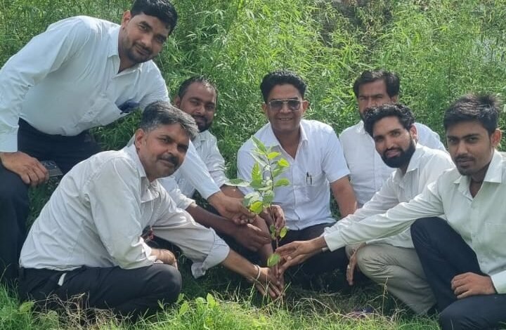 On the occasion of Harela festival, advocates planted trees in Civil Court Ramnagar and gave the message of greenery
