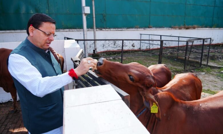 CM Dhami worshiped the cow on Govardhan Puja, saying – “Cow-breeding is the identity of our culture and self-reliance”