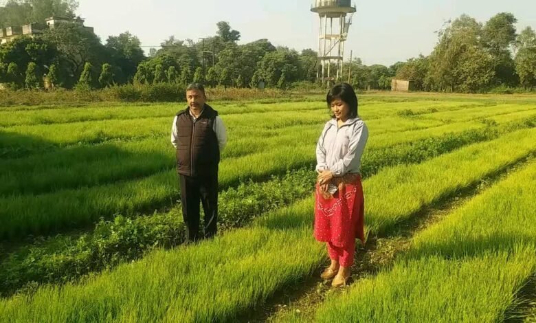 Dhakarani Krishi Vigyan Kendra has developed improved 'Agri Found Red' onion seedlings