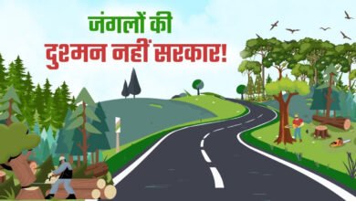 An end to the development vs. environment debate? The complete picture behind road construction in Uttarakhand.