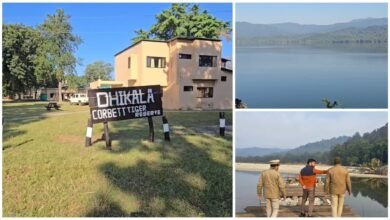 A new forest safari route will open in Phulai Chaur, a great treat for those visiting Corbett National Park.