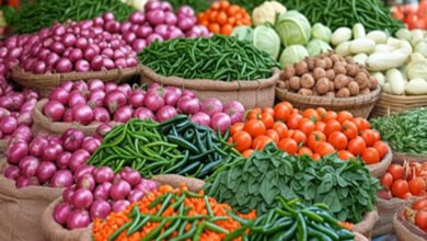 Wholesale inflation eases, WPI remains in negative territory in November.
