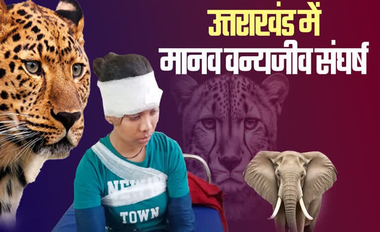 A new initiative to tackle human-wildlife conflict in Pithoragarh will use AI technology to monitor bears and leopards.