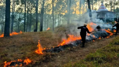 Forests in Uttarakhand are still burning even in winter; a fire has been raging in Nanda Devi National Park for 72 hours.