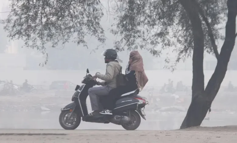Amidst the biting cold in Uttarakhand, the problem of frost has intensified.