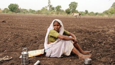 Agriculture in Uttarakhand is heading towards a crisis; the 2025 figures have increased farmers' concerns.